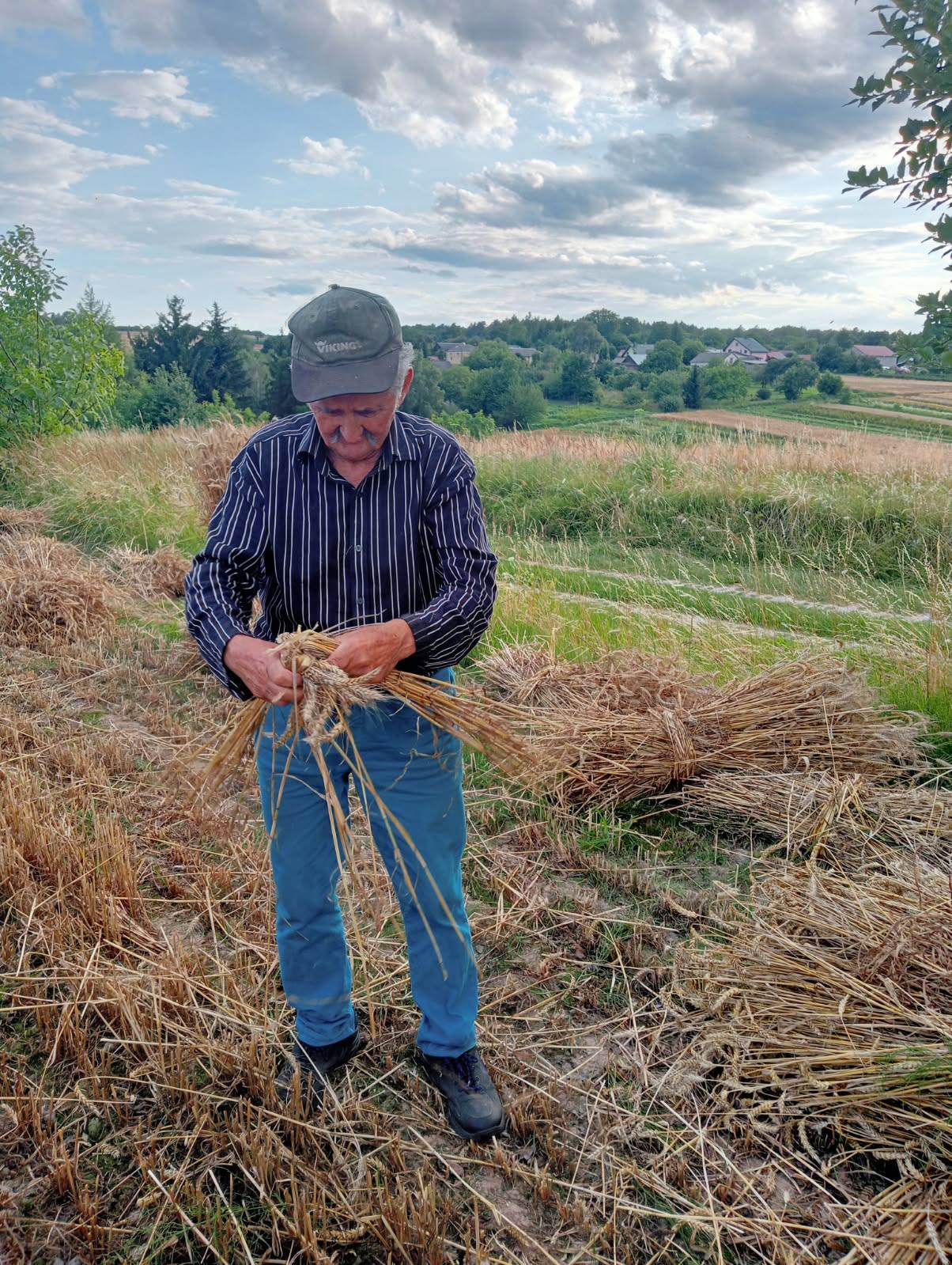 Zażynki w Rozięcinie 2025